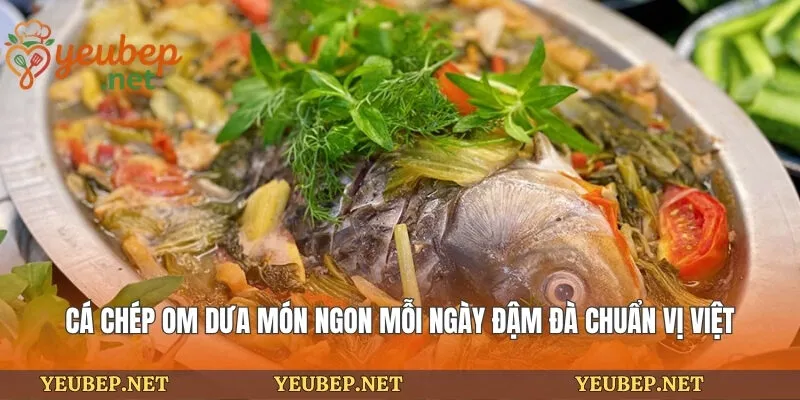 Cá Chép Om Dưa Món Ngon Mỗi Ngày Đậm Đà Chuẩn Vị Việt