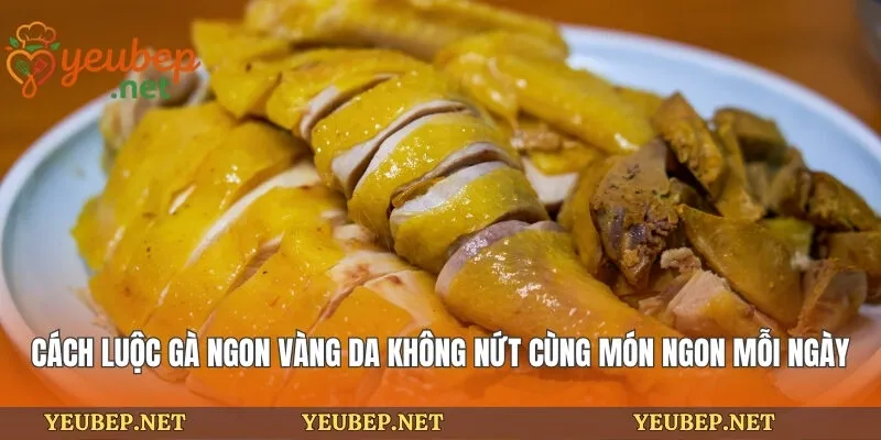 Cách Luộc Gà Ngon Vàng Da Không Nứt Cùng Món Ngon Mỗi Ngày