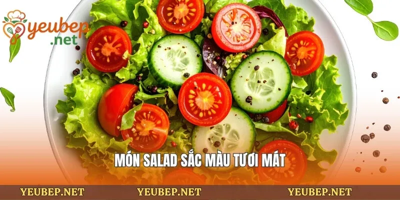 Món salad sắc màu tươi mát