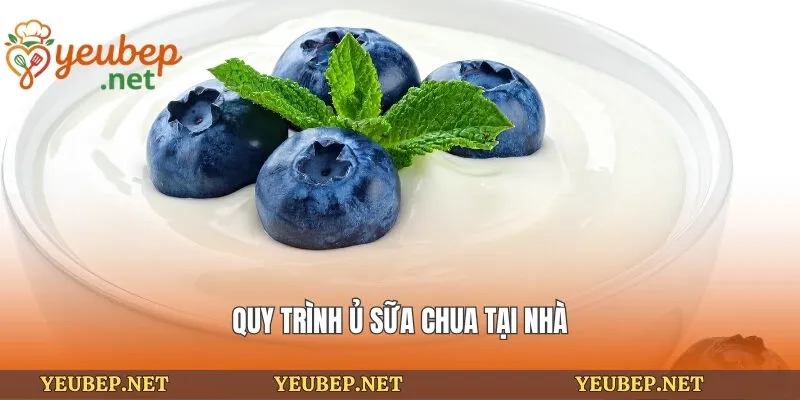 Quy trình ủ sữa chua tại nhà